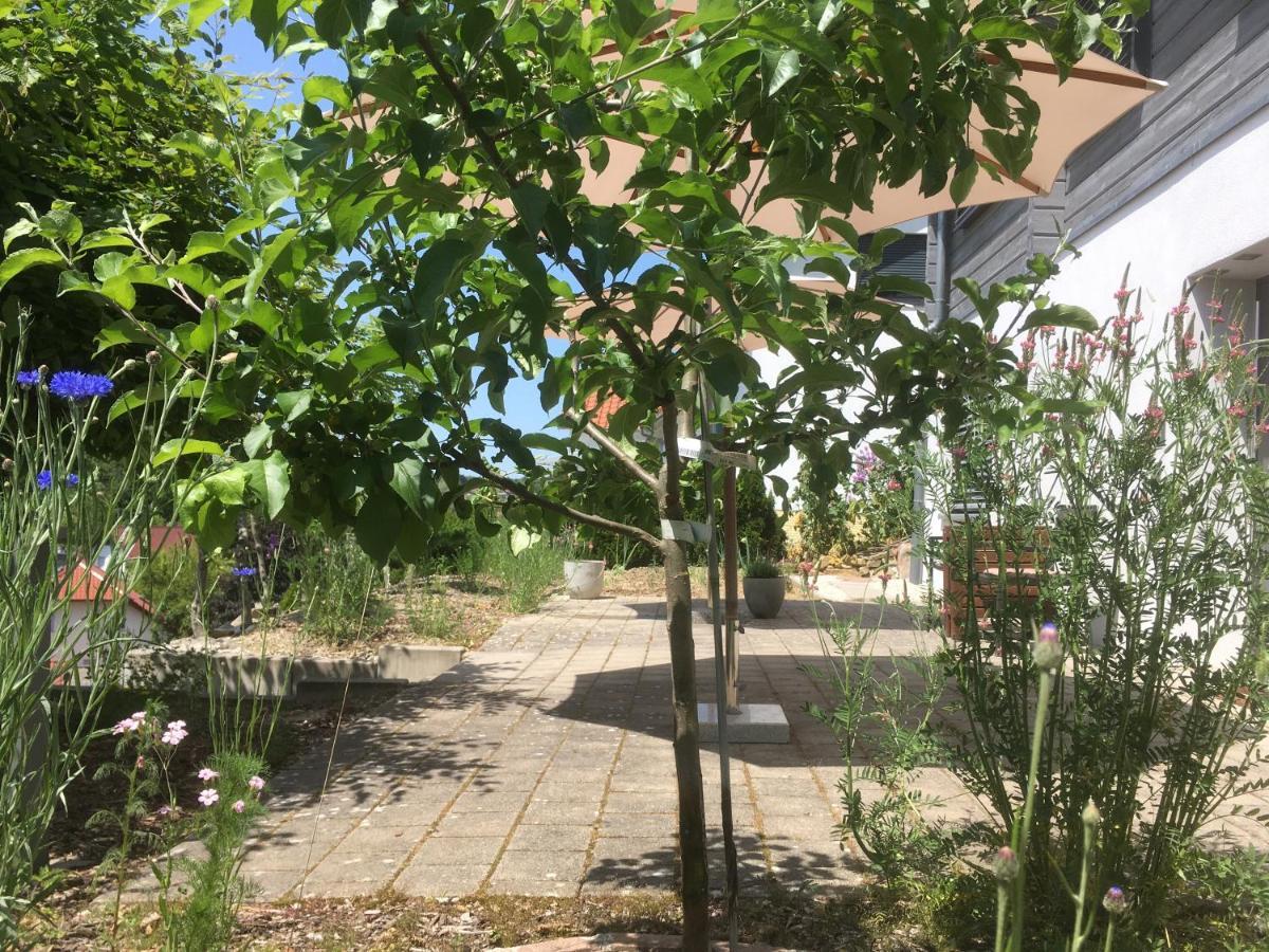 Sweetsuites 40A Lavendelhaus Mühlhausen Eksteriør bilde